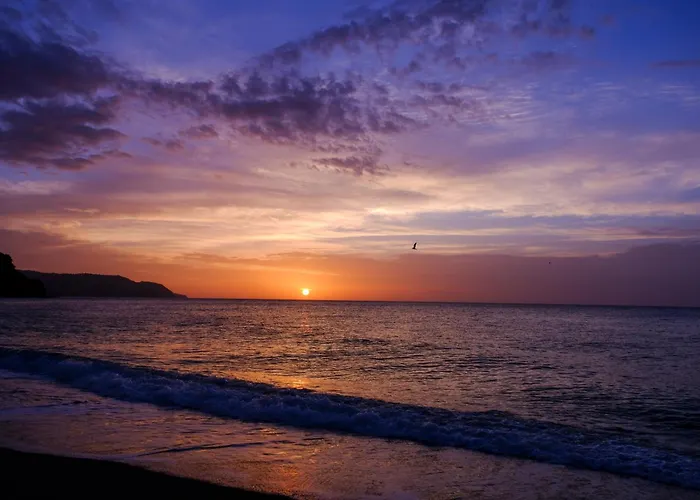 Casa Primavera. 内尔哈